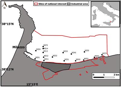 Persistent and Emerging Organic Pollutants in the Marine Coastal Environment of the Gulf of Milazzo (Southern Italy): Human Health Risk Assessment